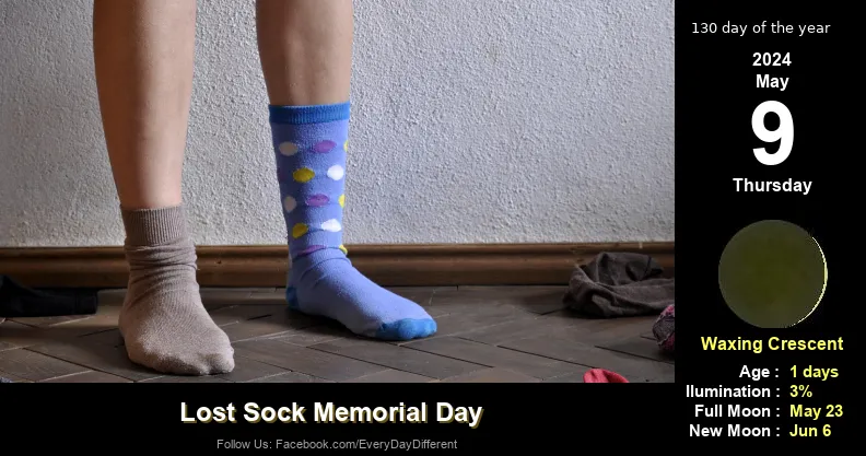 Lost Sock Memorial Day - May 9