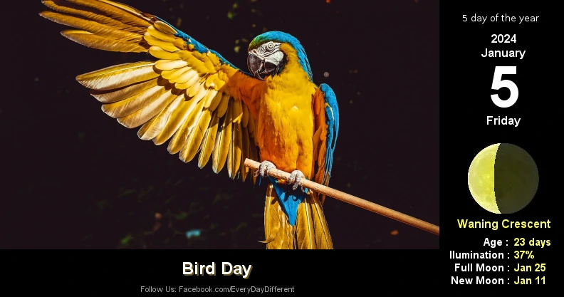 Bird Day - January 5th