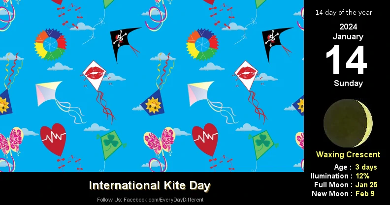 International Kite Day - January 14