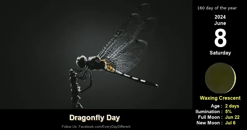 Dragonfly Day - June 8