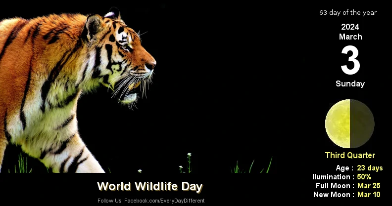 World Wildlife Day - March 3